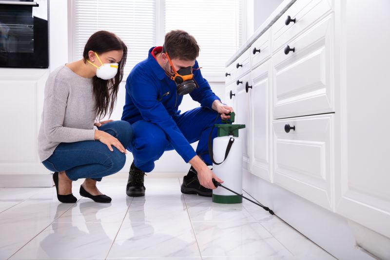 Flea Extermination