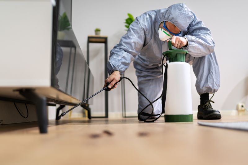 Spider Extermination Service