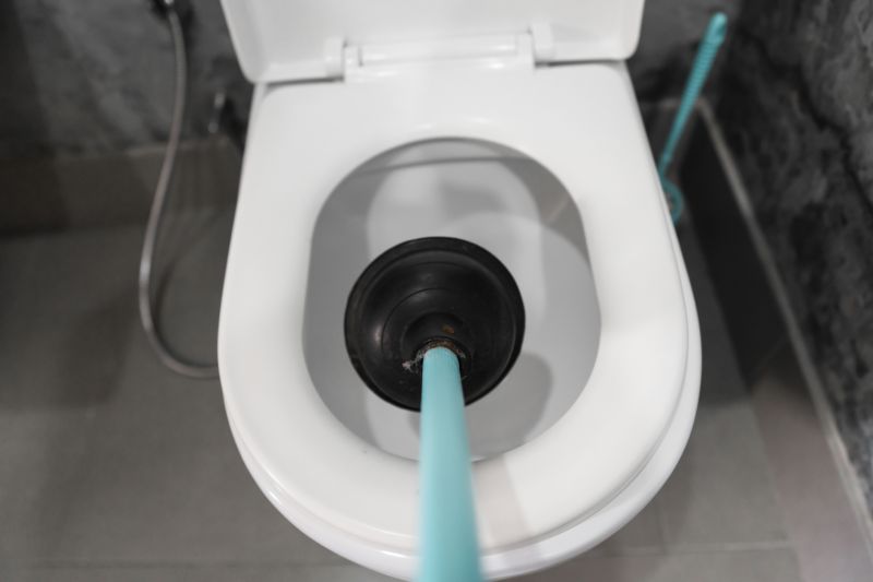 Toilet Plunging
