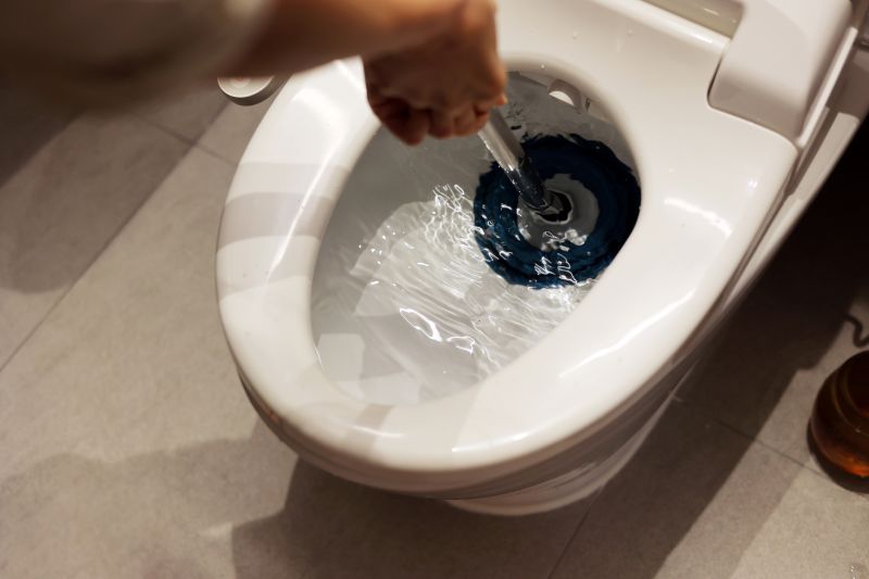 Toilet Plunging